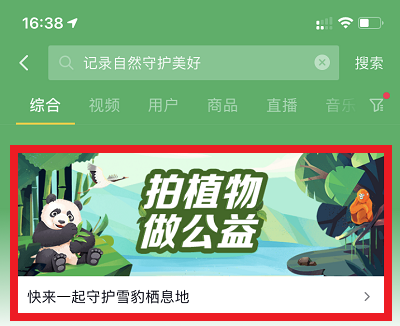 活动步骤