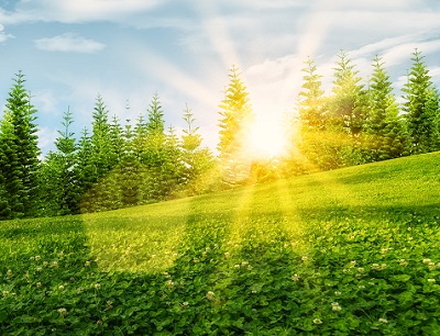 你是喜欢做比较困难的事情还是做特别简单的事情